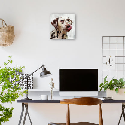 Días de perros III - Studio Arts