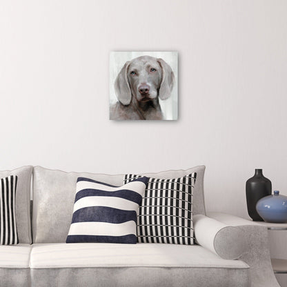 Días de perros IV - Studio Arts