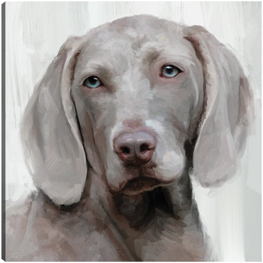 Días de perros IV - Studio Arts