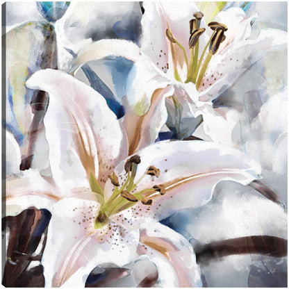 Capas de lirio  - Studio Arts