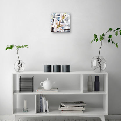 Capas de lirio  - Studio Arts