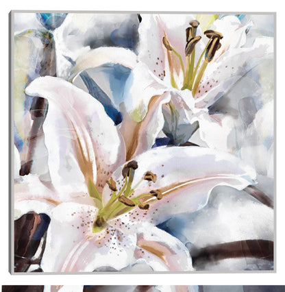 Capas de lirio  - Studio Arts