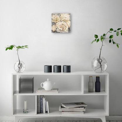 Susurros de peonía - Studio Arts