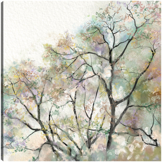Sueño de verano - Studio Arts