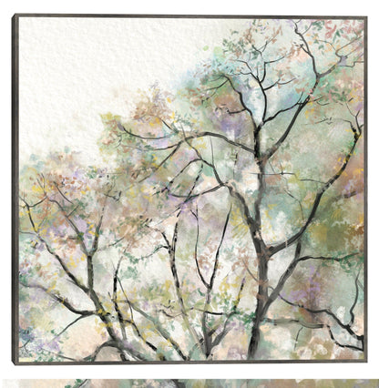 Sueño de verano - Studio Arts