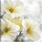 Besado por el sol  - Studio Arts