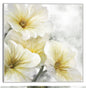 Besado por el sol  - Studio Arts