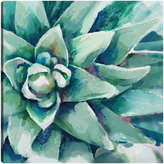 Cuadrado de flor suculenta acuarela - Studio Arts