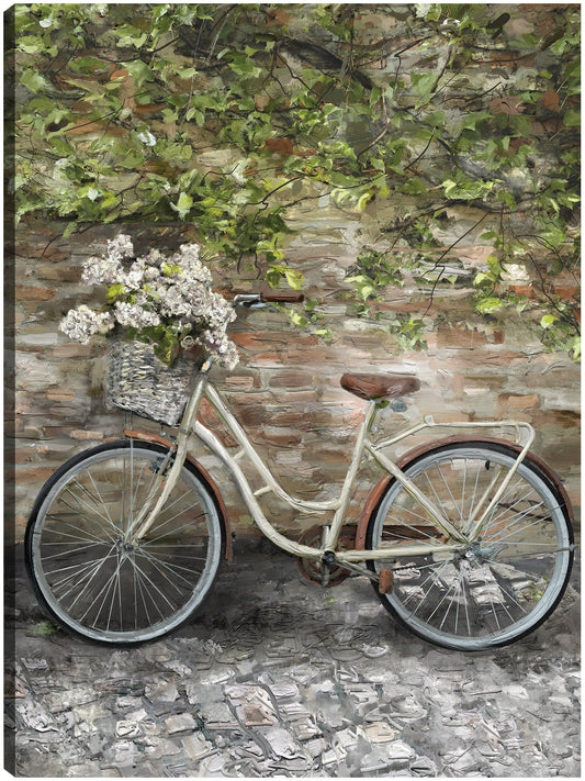 Bicicleta II - Studio Arts