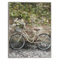 Bicicleta II - Studio Arts
