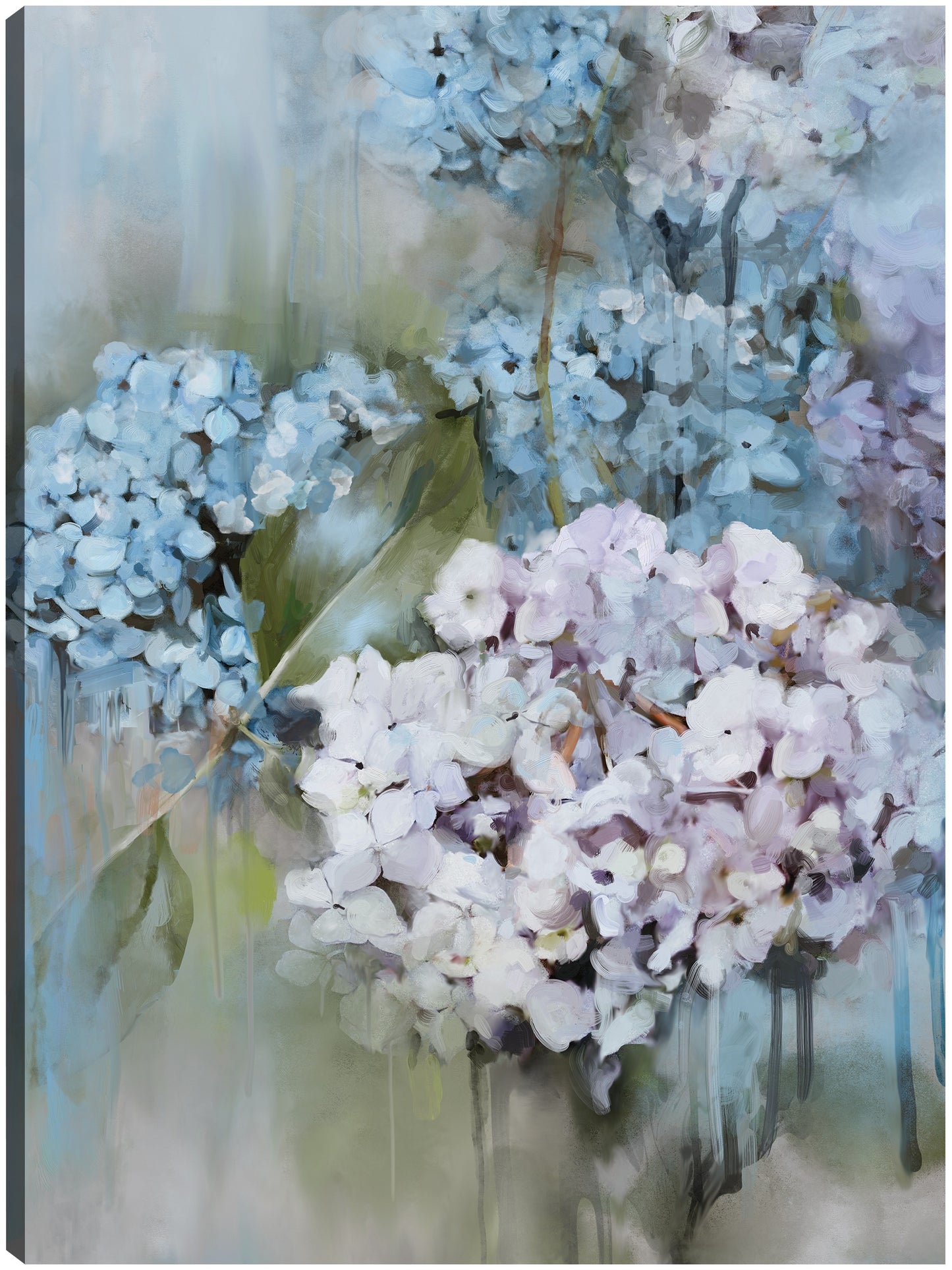 Casandra - Studio Arts