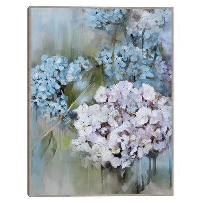 Casandra - Studio Arts