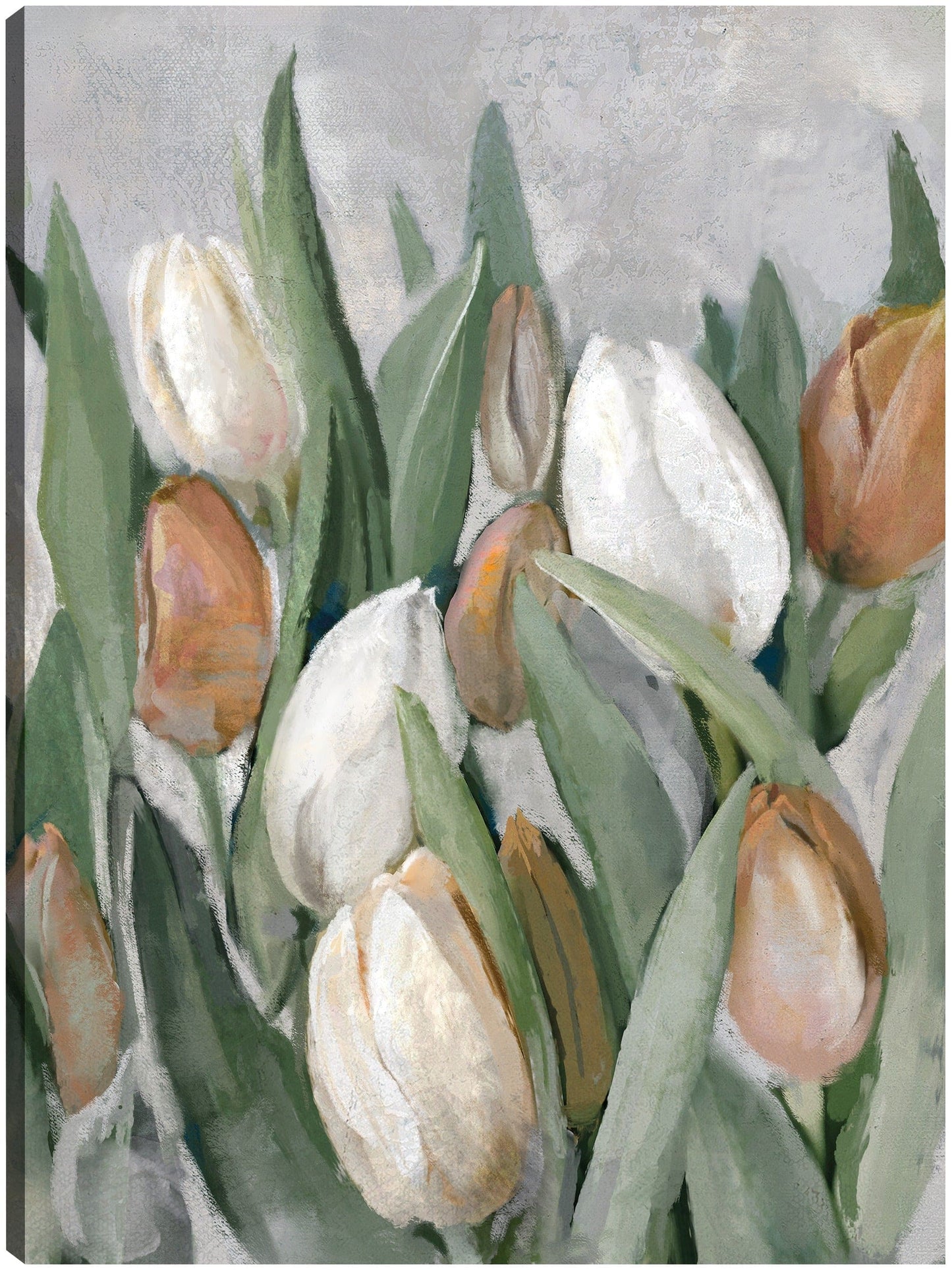 Chelsea - Studio Arts