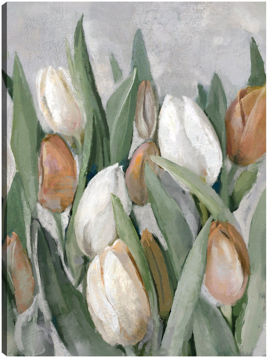 Chelsea - Studio Arts