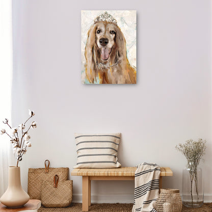Perrito divas IV - Studio Arts