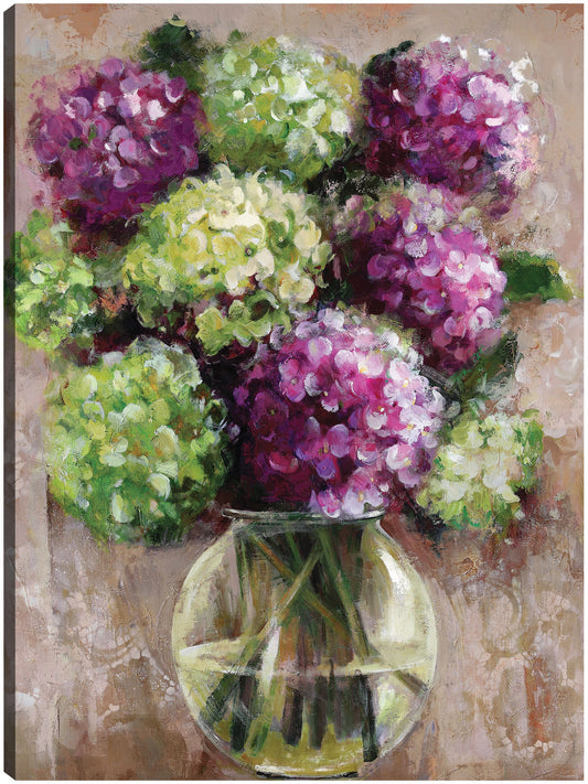 Estudio de hortensias - Studio Arts