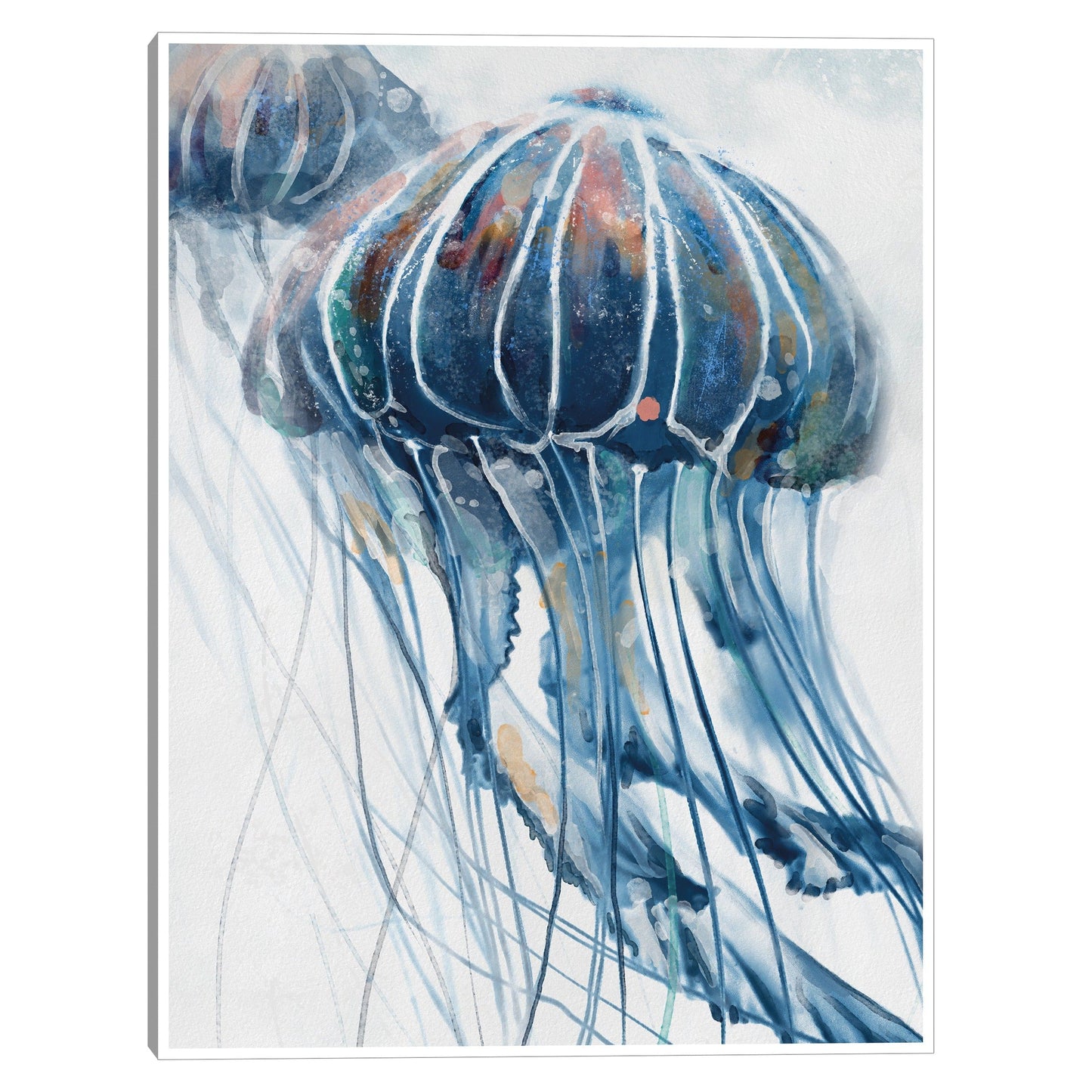 Jaleas de índigo - Studio Arts