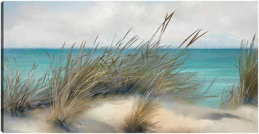 Cañas de playa - Studio Arts