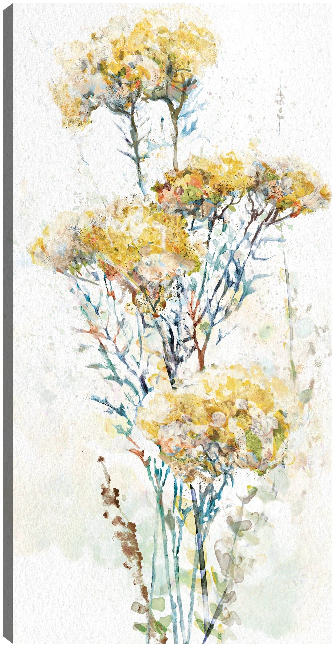 Enloquecido II - Studio Arts