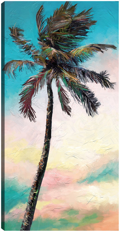 Palma de paleta - Studio Arts