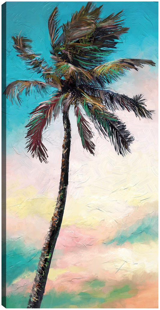 Palma de paleta - Studio Arts