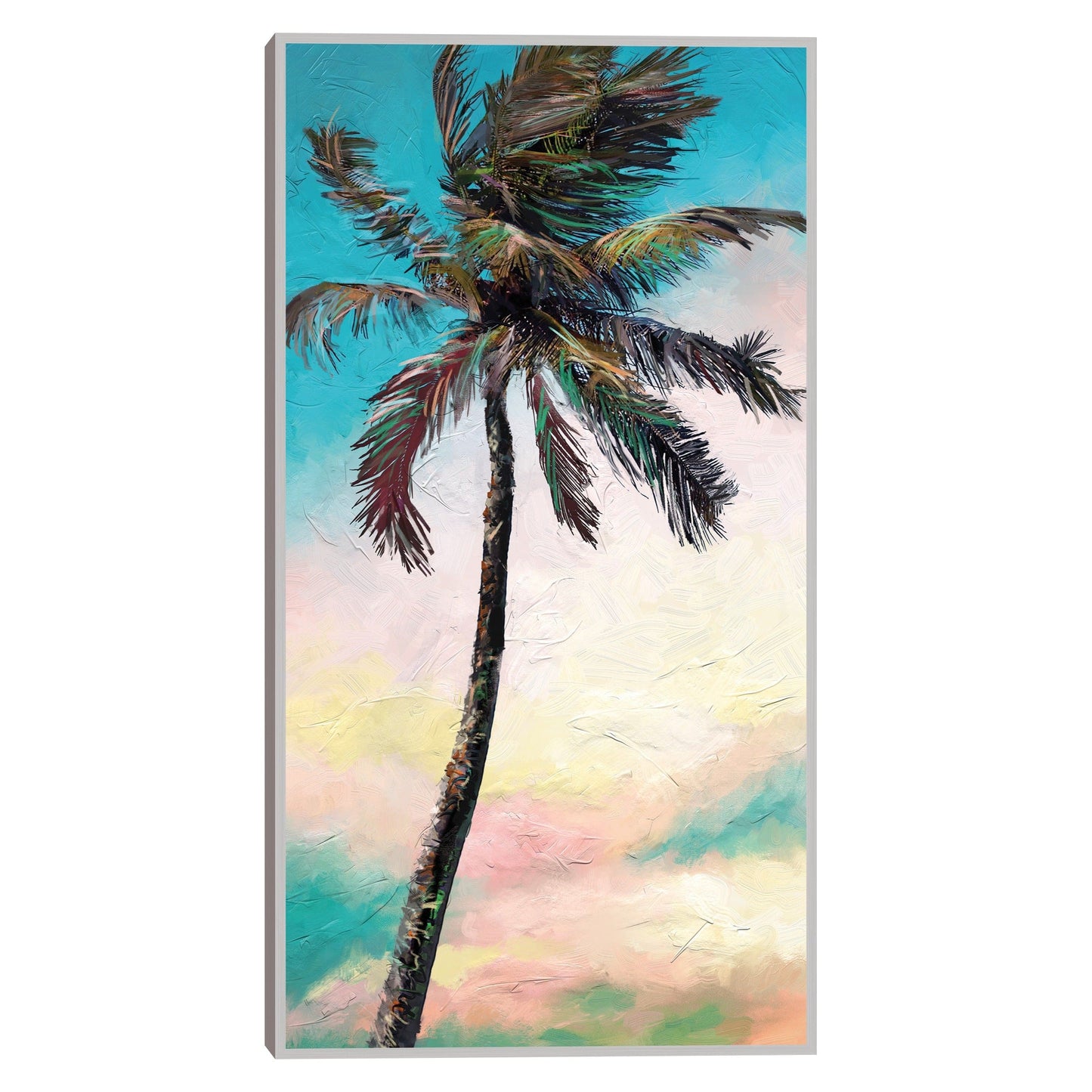 Palma de paleta - Studio Arts