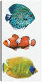 Trío Tropical I - Studio Arts