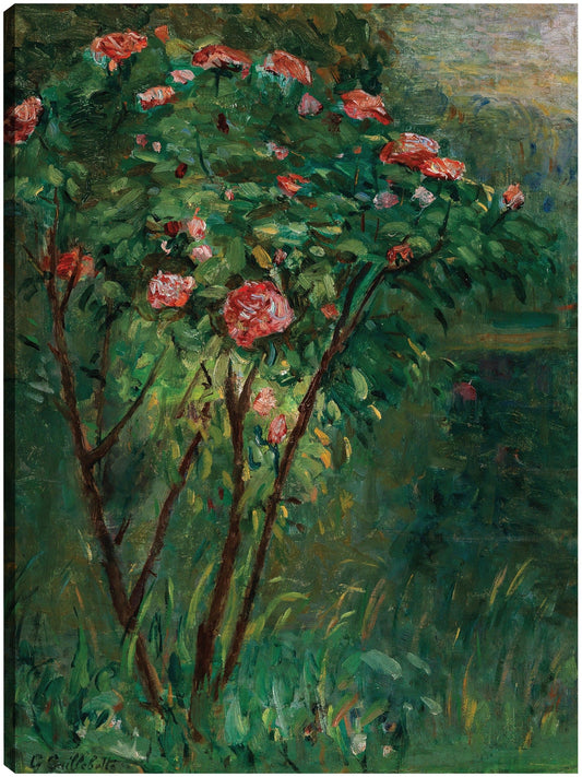 El rosal en flor (c. 1884-1885) - Gustave Caillebotte