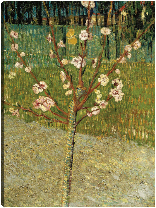 Almendro en flor - Vincent Van Gogh