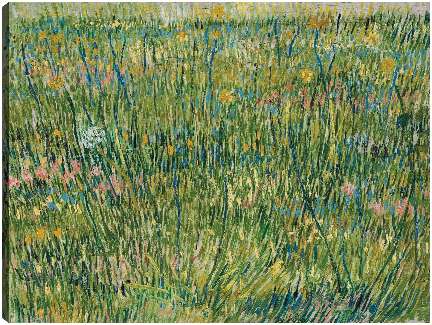 Parche de hierba (1887) - Vincent Van Gogh
