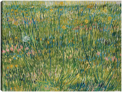 Parche de hierba (1887) - Vincent Van Gogh