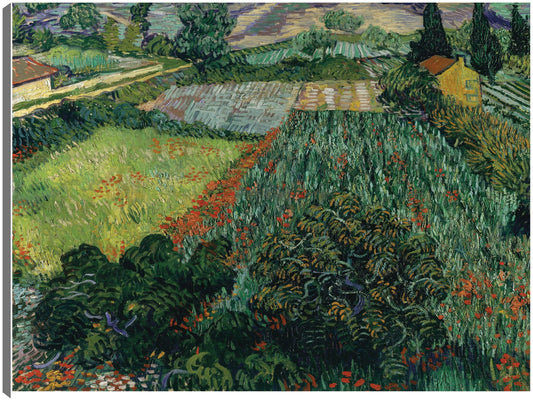 Campo de amapolas (1889) - Vincent Van Gogh