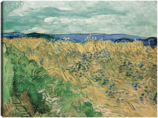 Campo de trigo con acianos (1890) - Vincent Van Gogh