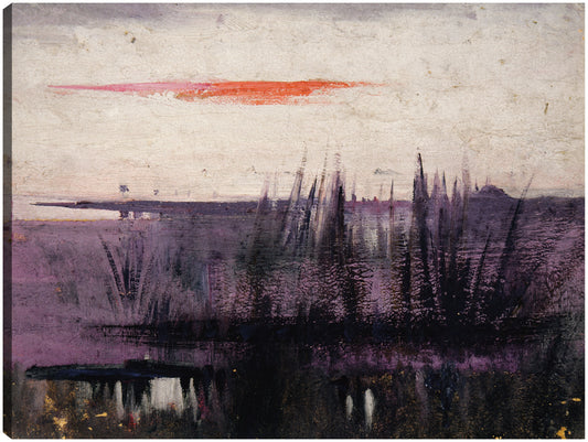 Estudio para libro del cielo simulado por flamencos blancos, que oculta la coloración en el reino animal (ca. 1905-1909) - Abbott Handerson Thayer