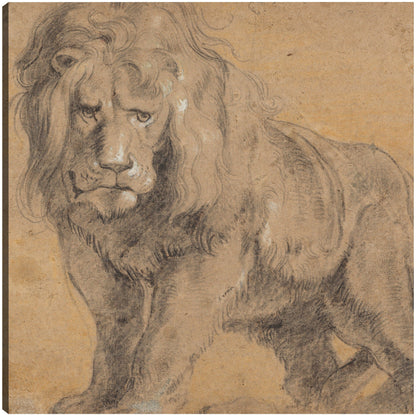 León (c. 1612-1613) - Peter Paul Rubens