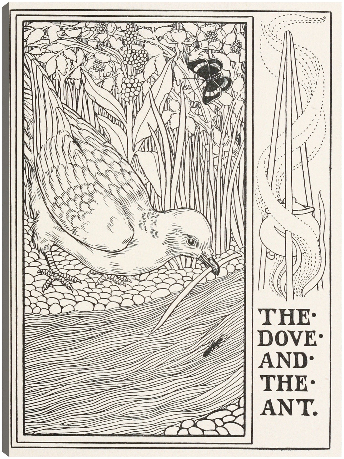 La paloma y la hormiga (1900) - Percy J. Billinghurst