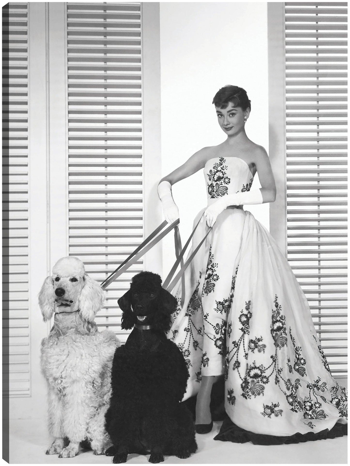 Audrey Hepburn en Sabrina (1954) - Unknown