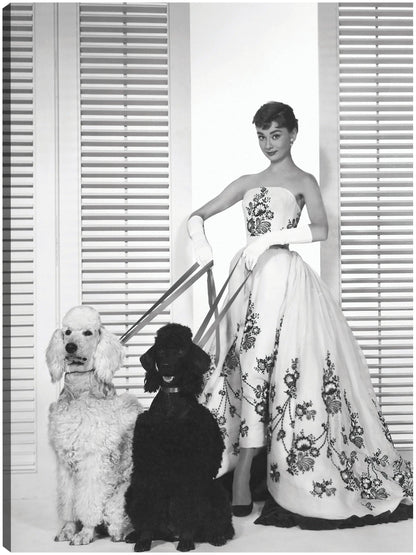 Audrey Hepburn en Sabrina (1954) - Unknown