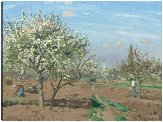 Huerto en flor Louveciennes - Camille Pissarro