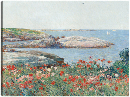 Amapolas Islas de Shoals - Childe Hassam