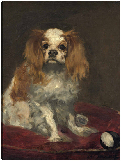 Un rey charles spaniel - Edouard Manet