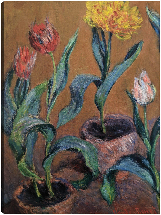 Tulipanes - Claude Monet