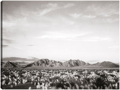 Cerca del Monumento Nacional del Valle de la Muerte, California - Ansel Adams