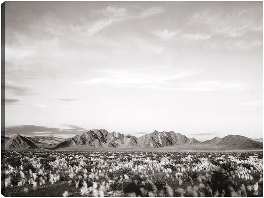 Cerca del Monumento Nacional del Valle de la Muerte, California - Ansel Adams