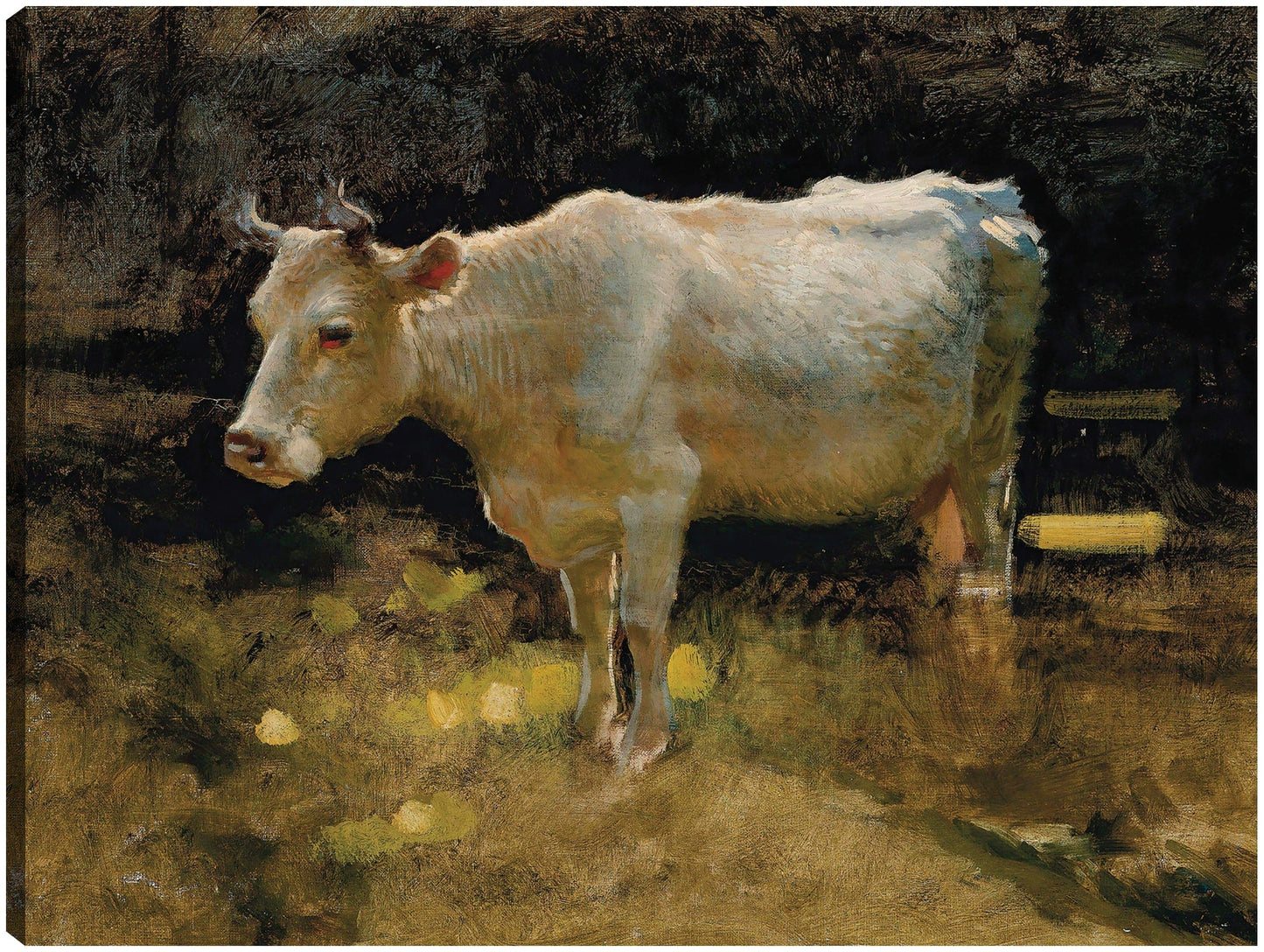Estudio de una vaca en un prado. - Joseph Farquharson