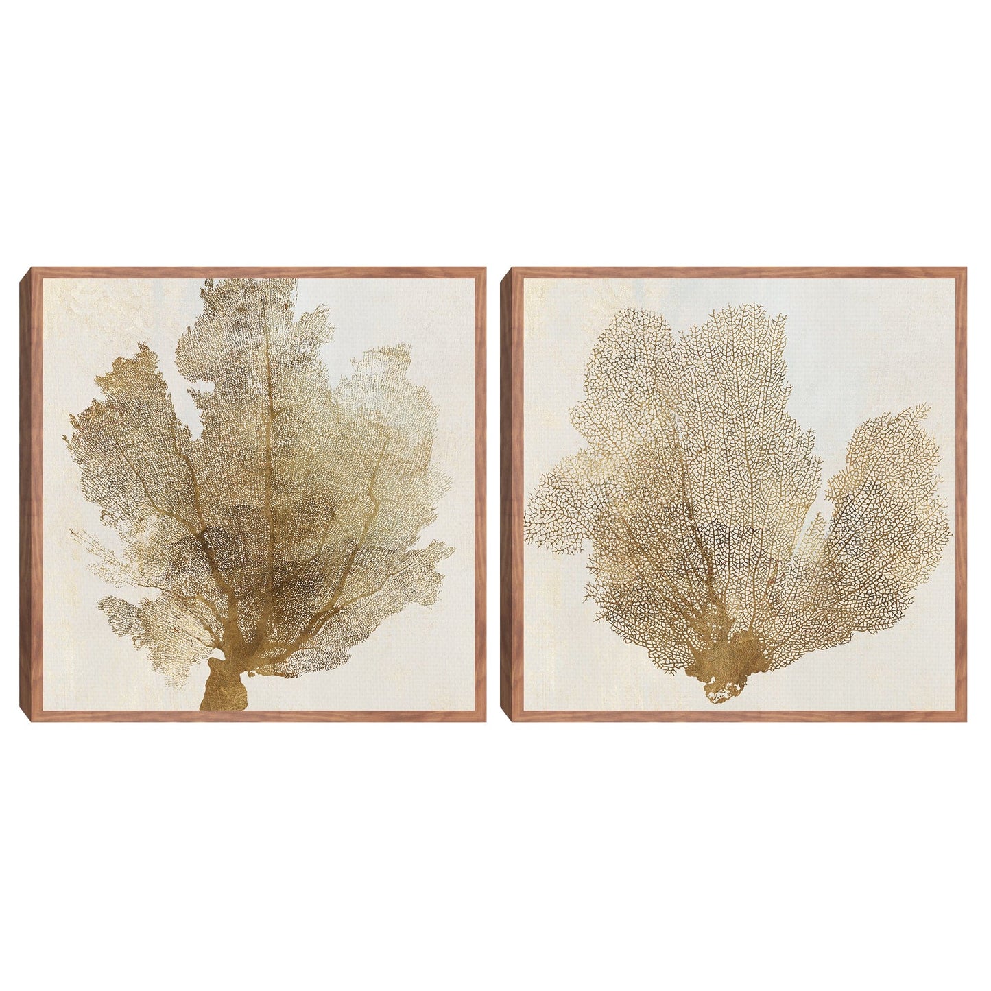 Lujo Coral I - Aimee Wilson
