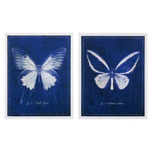 Mariposa - GI ArtLab