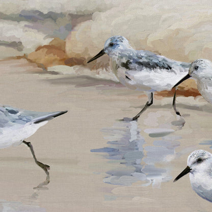Playa sandpiper en amber - Studio Arts