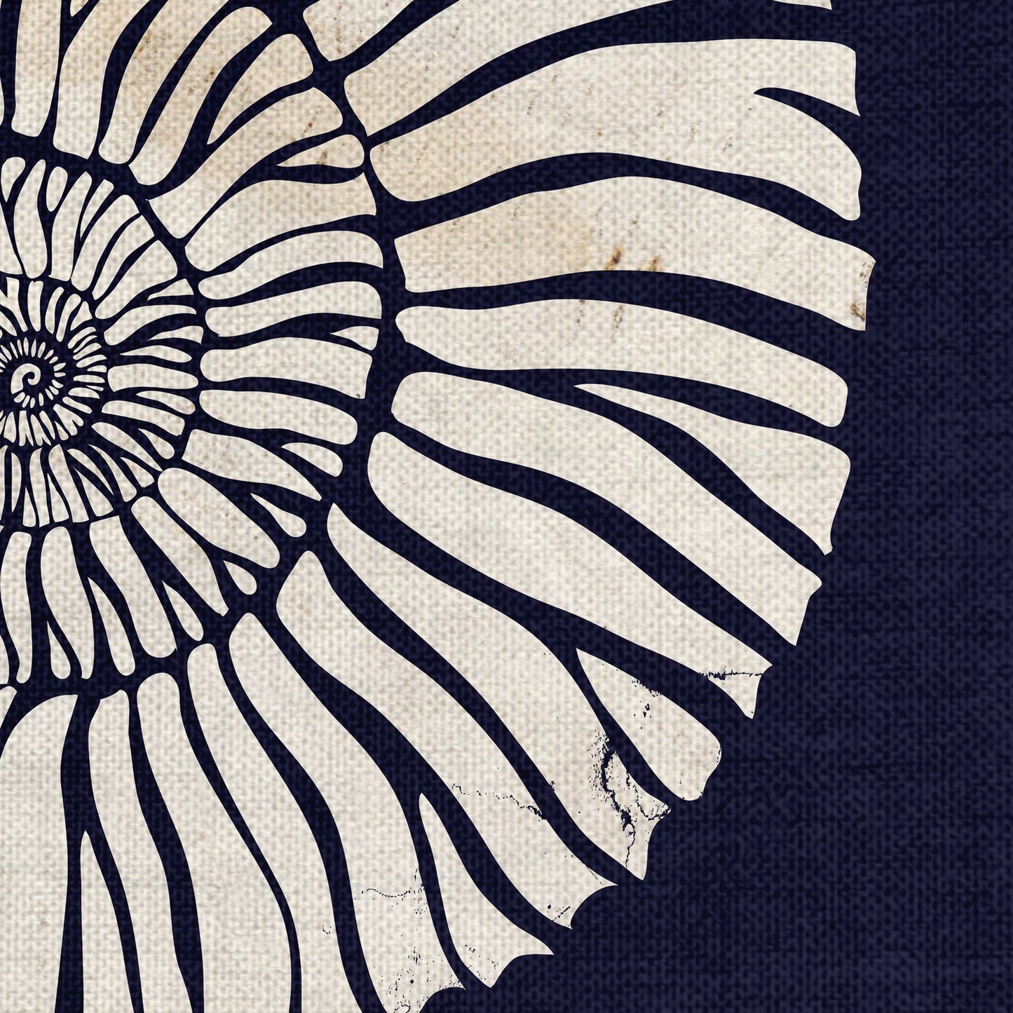 Plan de playa Blueprint II - Dallas Drotz