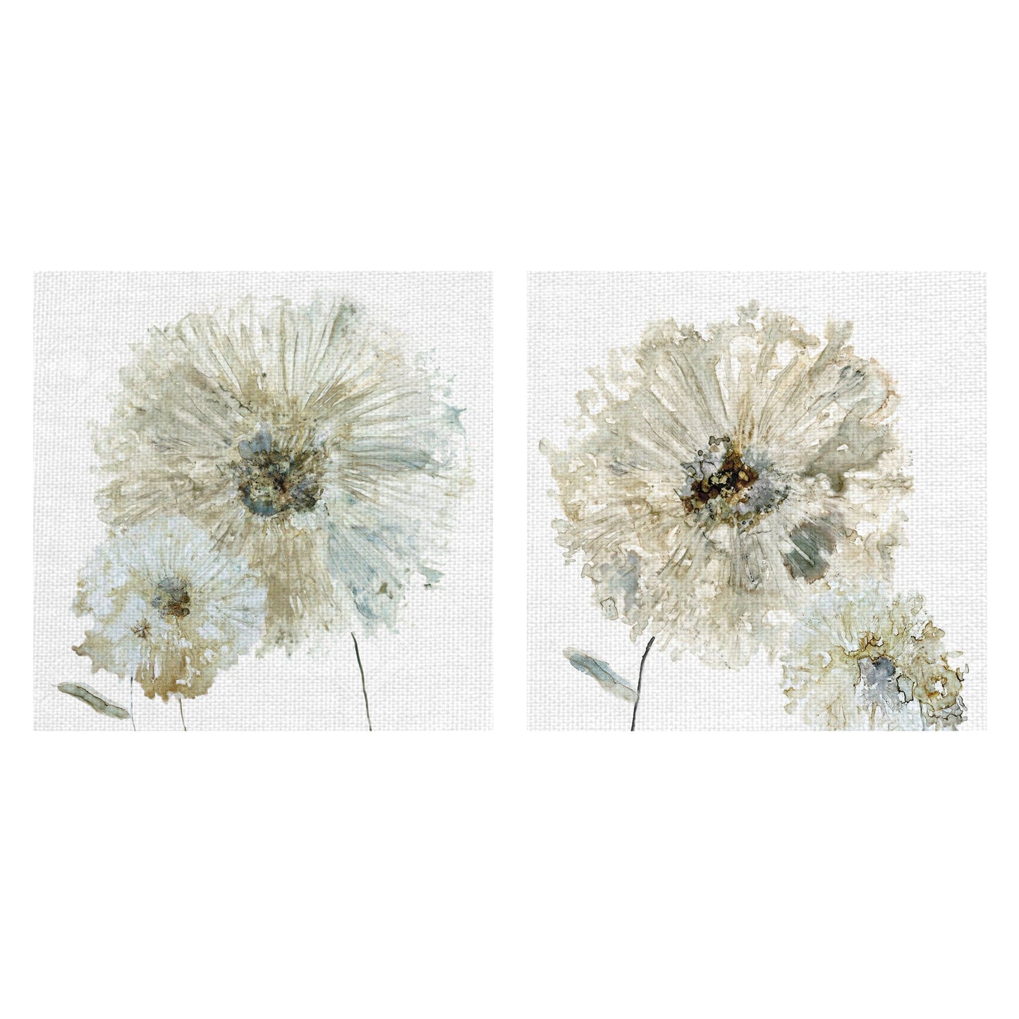 Primavera de Marfil - Carol Robinson